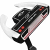 Ray Cook Sr800 Putter