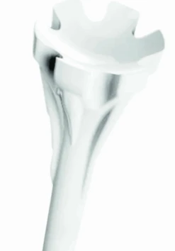 Champ White Zarma Fly Tee 44Mm 7 Champ White Zarma Fly Tee 44Mm -Online Golf Store IMG 1482 2